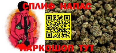 apvp Заводоуковск