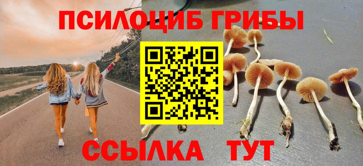 Галлюциногенные грибы Psilocybe Миасс